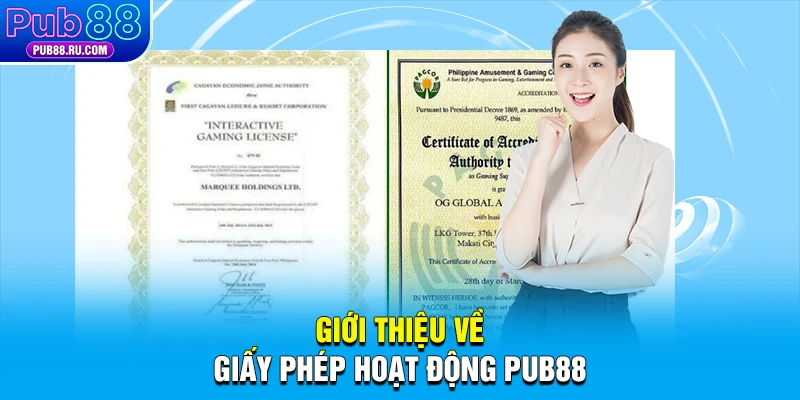 Giới thiệu về giấy phép hoạt động Pub88